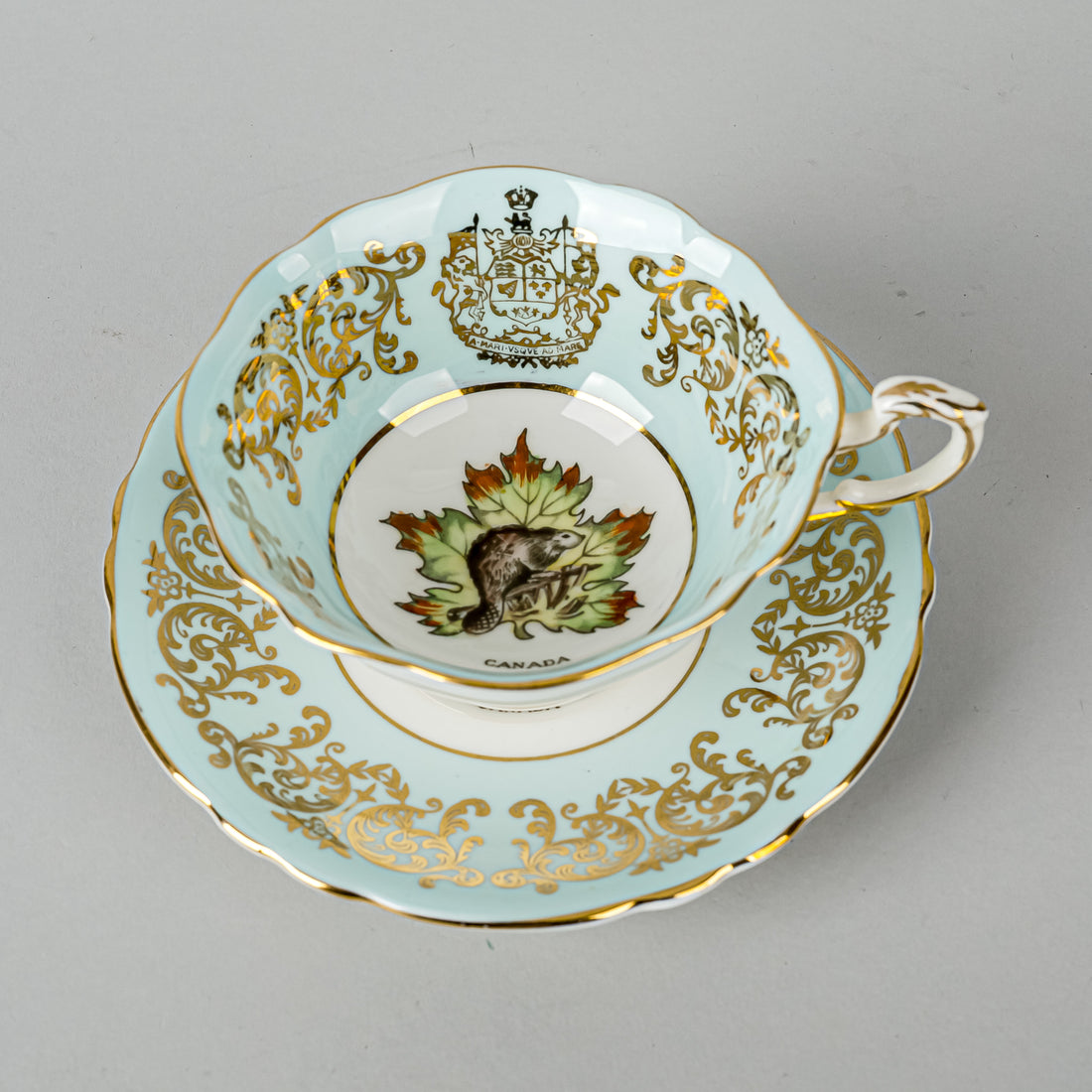 PARAGON Cup & Saucer Canada Maple Leaf Beaver