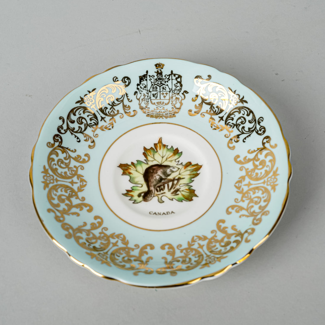 PARAGON Cup & Saucer Canada Maple Leaf Beaver