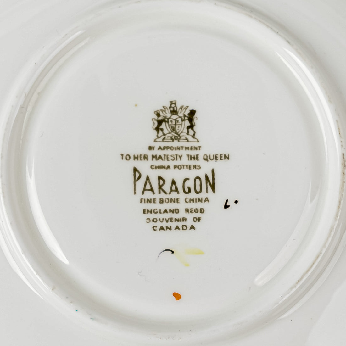 PARAGON Cup & Saucer Canada Maple Leaf Beaver