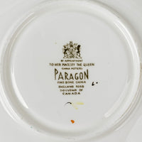PARAGON Cup & Saucer Canada Maple Leaf Beaver