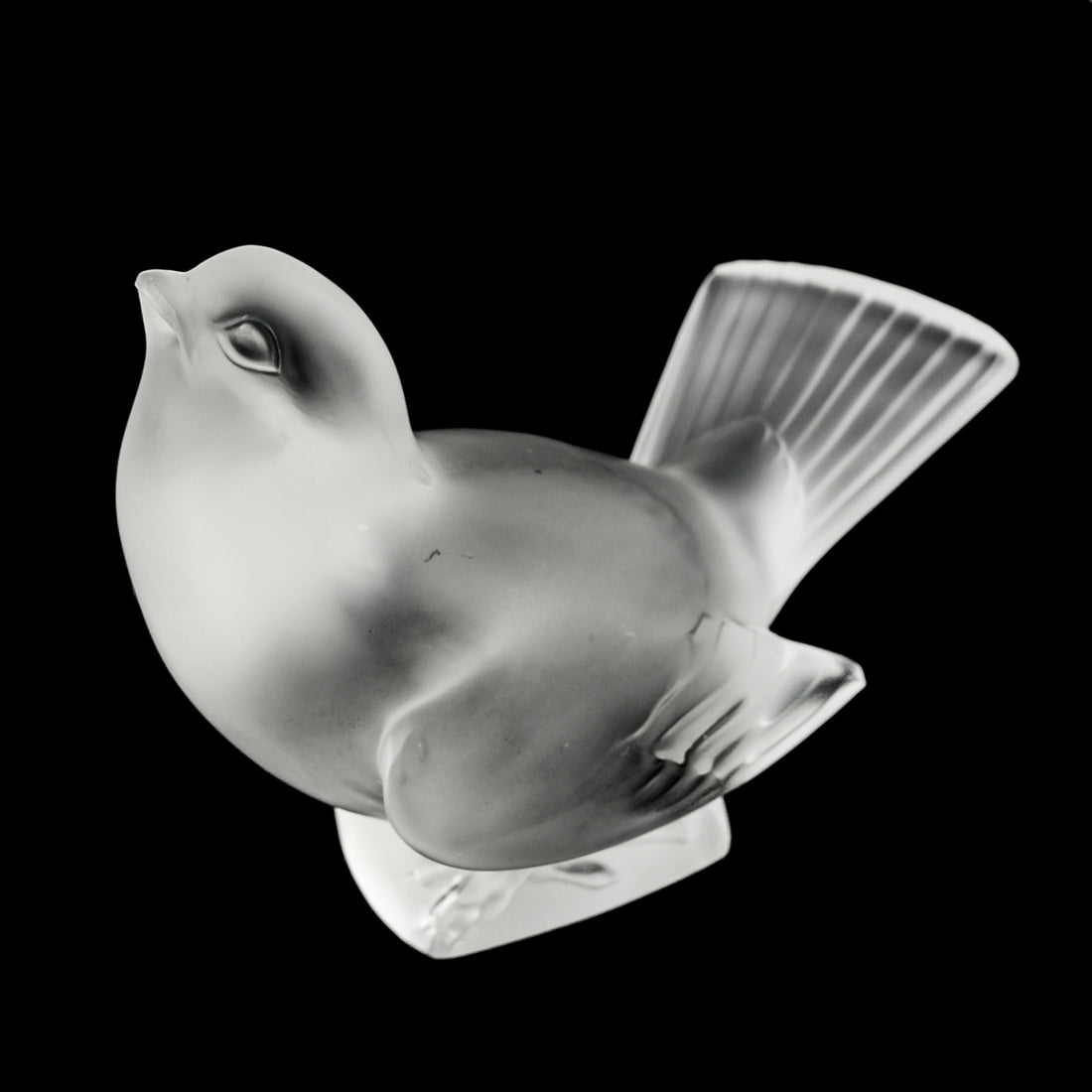 LALIQUE Moineau Moqueur/Sparrow Head Up 11606