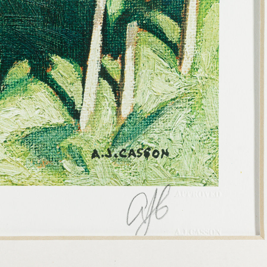 AJ CASSON Canadian (1898-1992) "Algonquin Park"