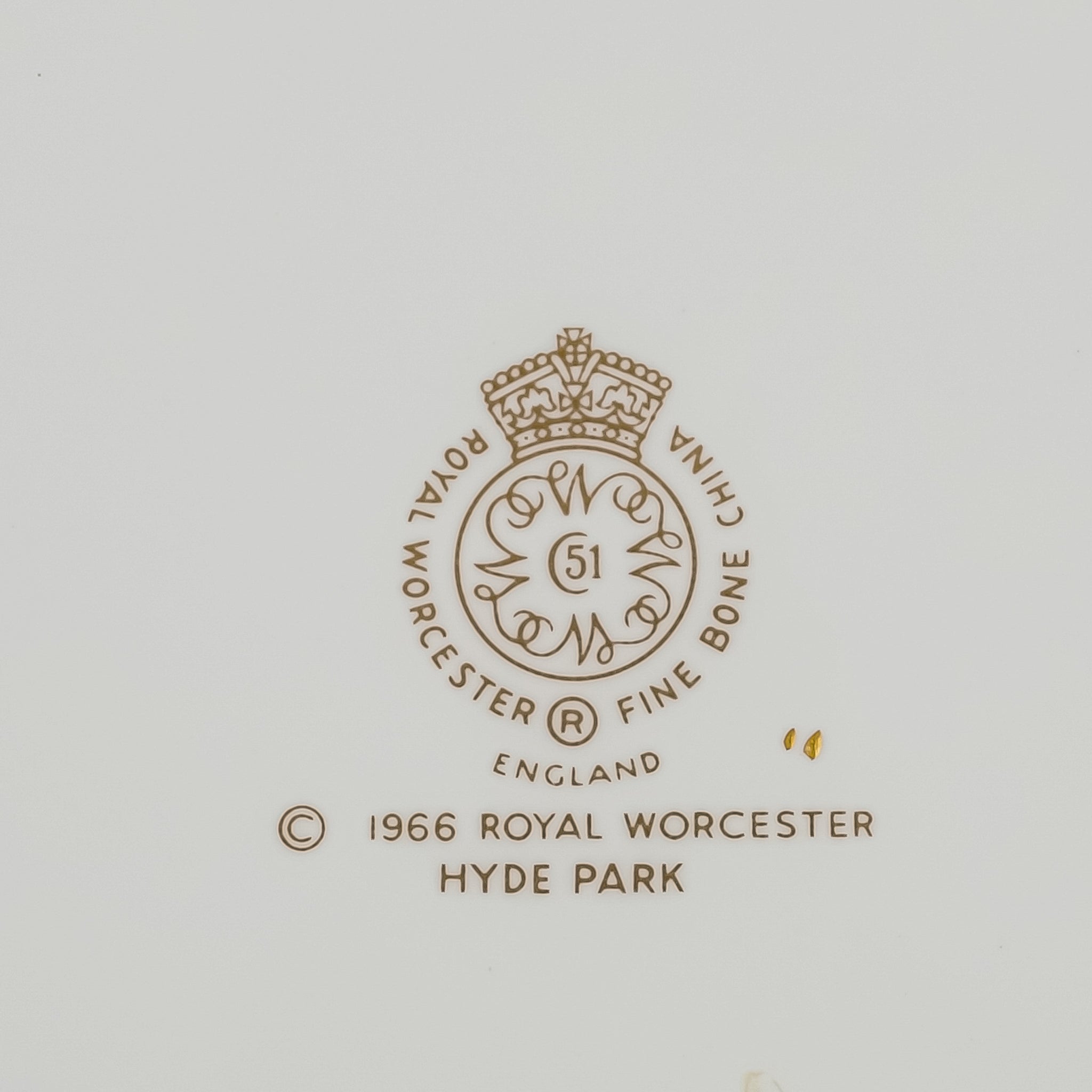 ROYAL WORCESTER Hyde Park 10 Place Settings Plus Extras - Around