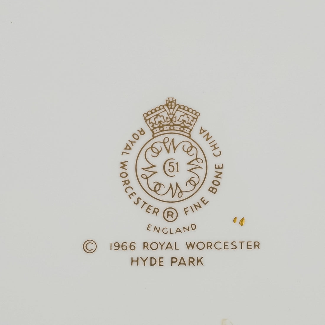 ROYAL WORCESTER Hyde Park 10 Place Settings Plus Extras