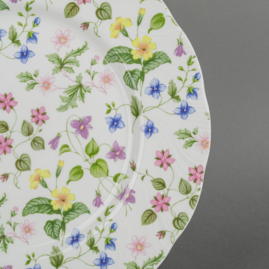 QUEENS Country Meadow 6 PS Plus Extras