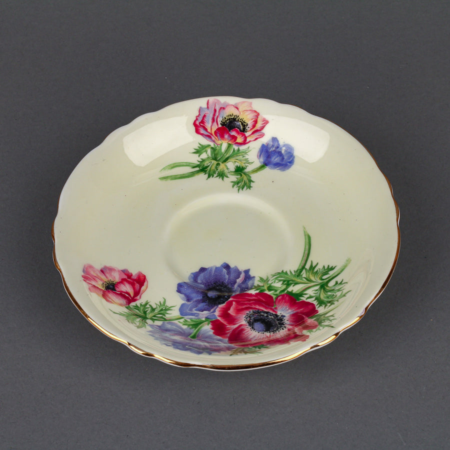 PARAGON Hand-Painted Anemones Cup & Saucer A3226
