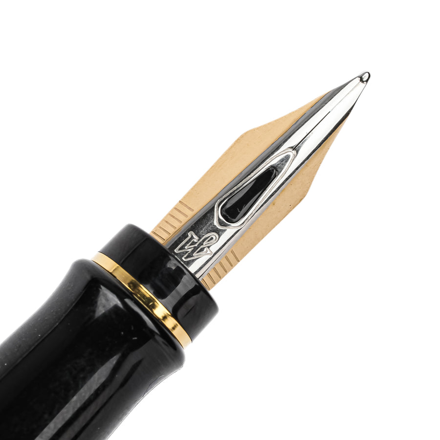 WATERMAN Expert Fountain Pen - Blue Black Gold Accents