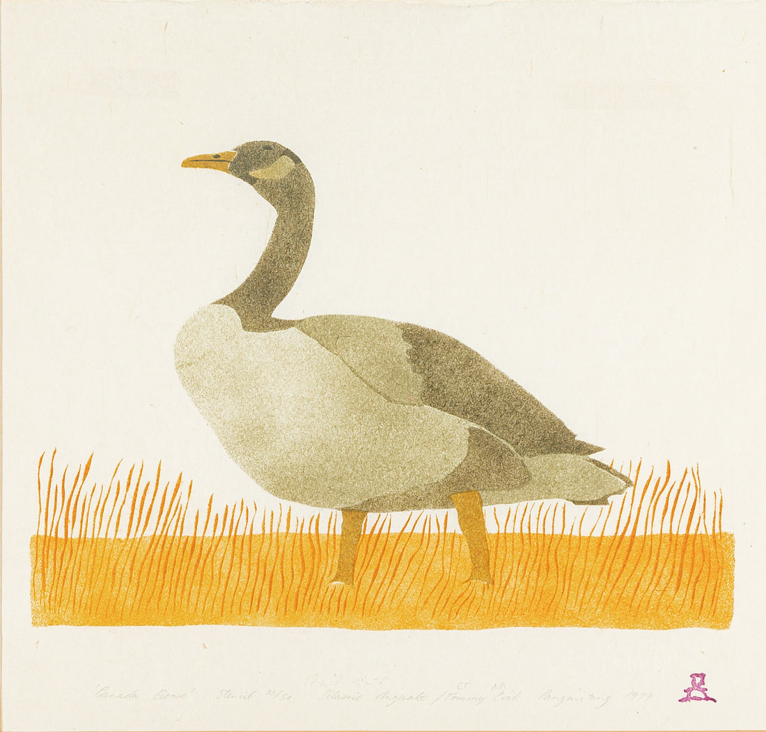 Silasie Angnakok (Inuit 1937) "Canada Goose"