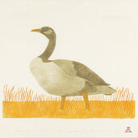 Silasie Angnakok (Inuit 1937) "Canada Goose"