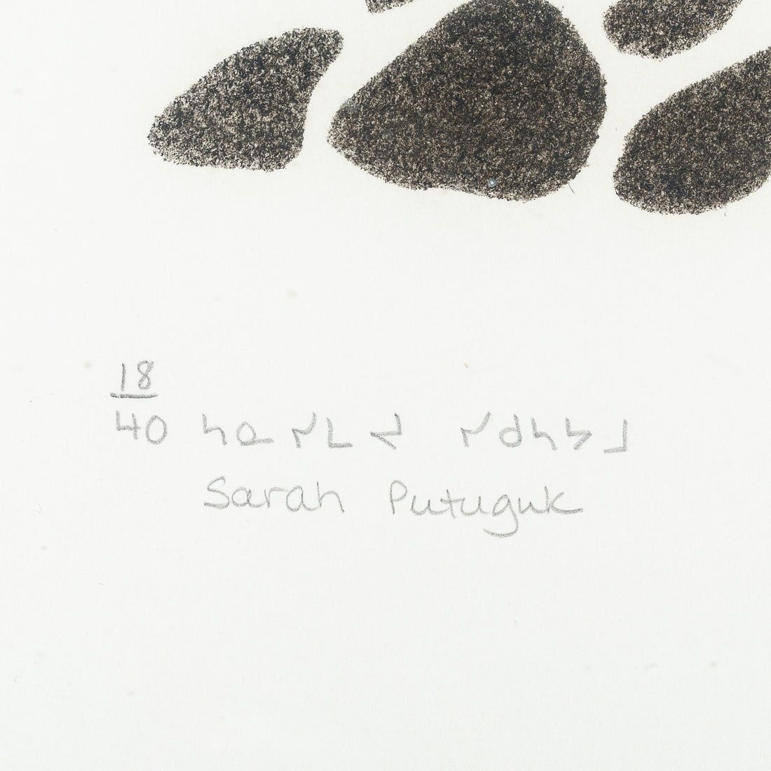 Sarah Putuguk (Inuit, Povungnituk) " An Eider Duck Among The Stones"