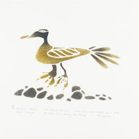 Sarah Putuguk (Inuit, Povungnituk) " An Eider Duck Among The Stones"