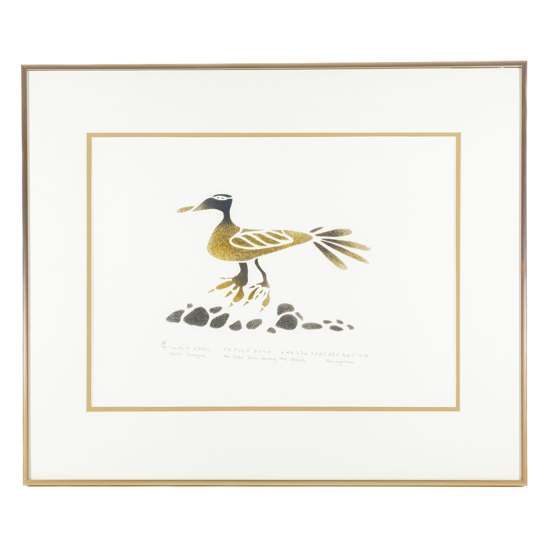 Sarah Putuguk (Inuit, Povungnituk) " An Eider Duck Among The Stones"