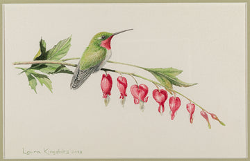Laura Kingsbury (Canadian)           "Hearts" Hummingbird