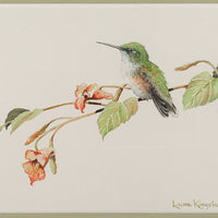 Laura Kingsbury (Canadian)           "Jewels" Hummingbird