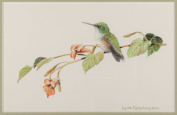 Laura Kingsbury (Canadian)           "Jewels" Hummingbird