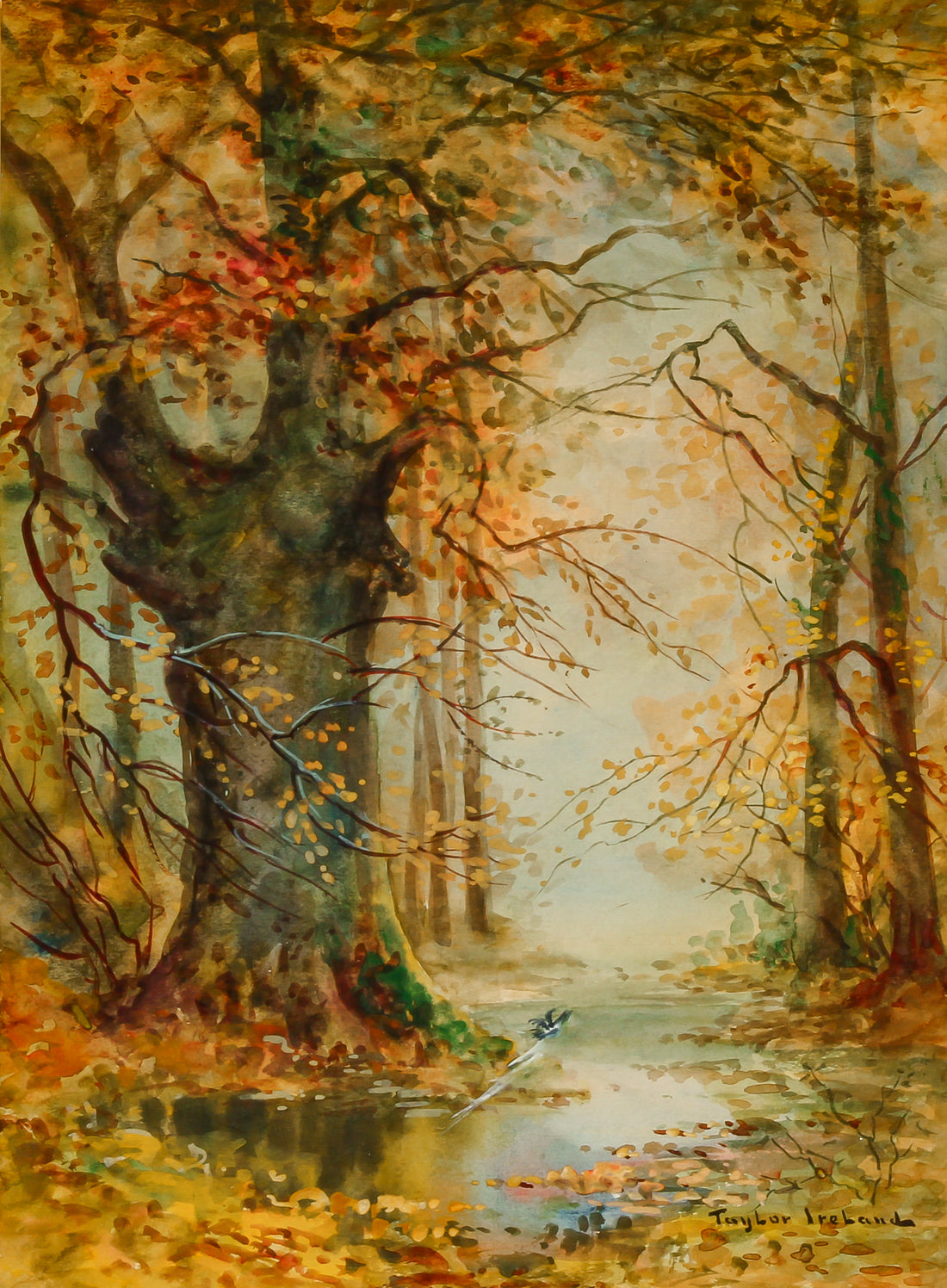 T. Taylor Ireland - Forest Landscape with Pond - Watercolour on Paper