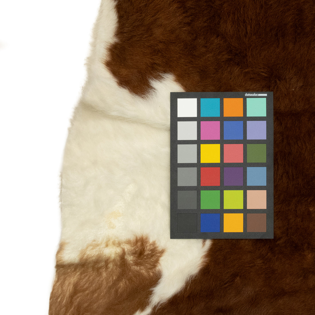 Cowhide Rug