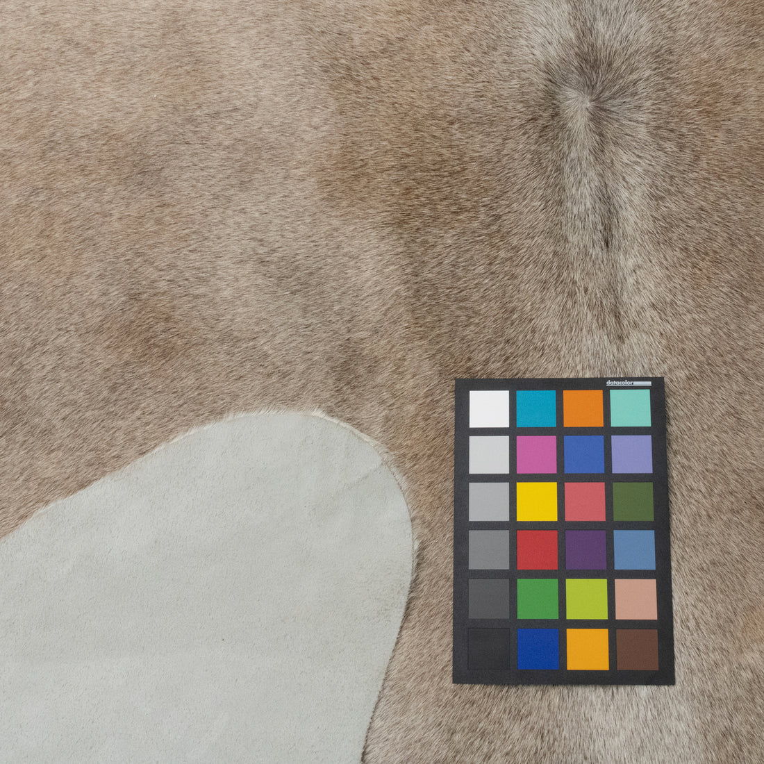 Cowhide Rug