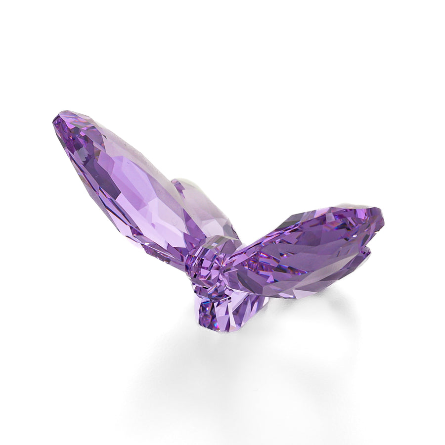 SWAROVSKI Brilliant Butterfly Violet 855803