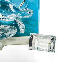 SWAROVSKI Eternity Wonders of The Sea 684266