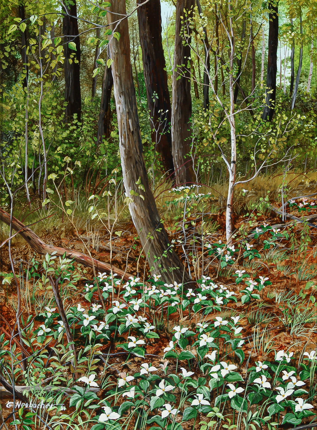 Gerda Neubacher - "Trilliums" - Oil on Board