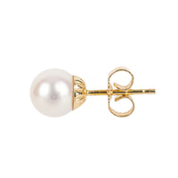 14K Yellow Gold Akoya Pearl Studs 7mm
