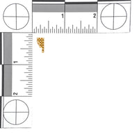 BIRKS 18K Yellow Gold Bar Studs