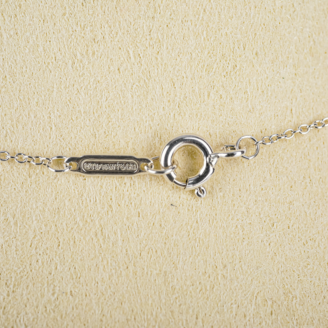 TIFFANY & CO Sterling 1837 Circle Pendant Necklace