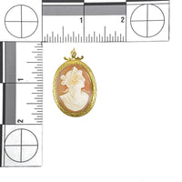14K Yellow Gold Cameo Pin  Pendant 29-21mm