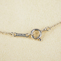 TIFFANY & CO Paloma Sterling Picasso Venezia Luce Pendant Necklace