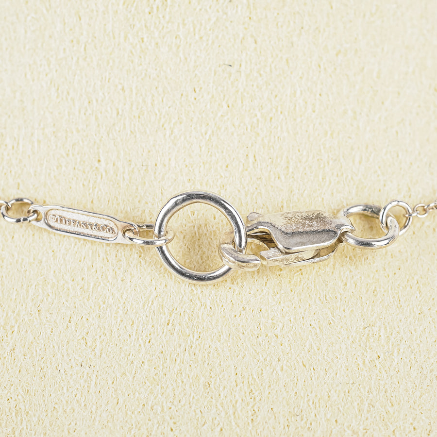 TIFFANY & CO Sterling Atlas Medallion Pendant Necklace