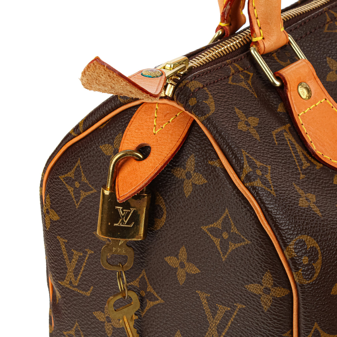 LOUIS VUITTON Monogram Canvas Speedy 25