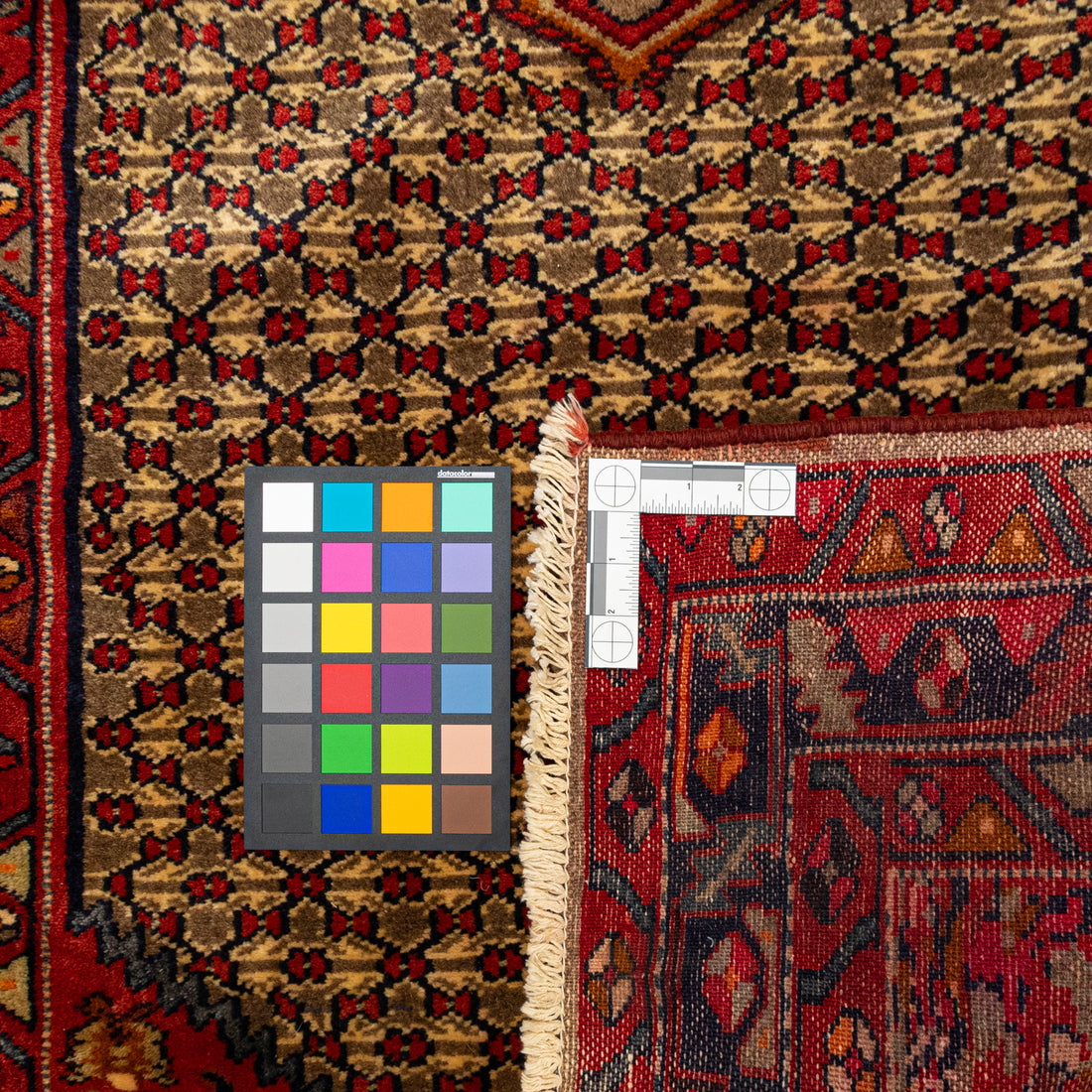 Hand Knotted Wool Zanjan Persian Rug            74"x44"