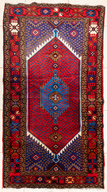Hand Knotted Wool Hamadan Persian Rug