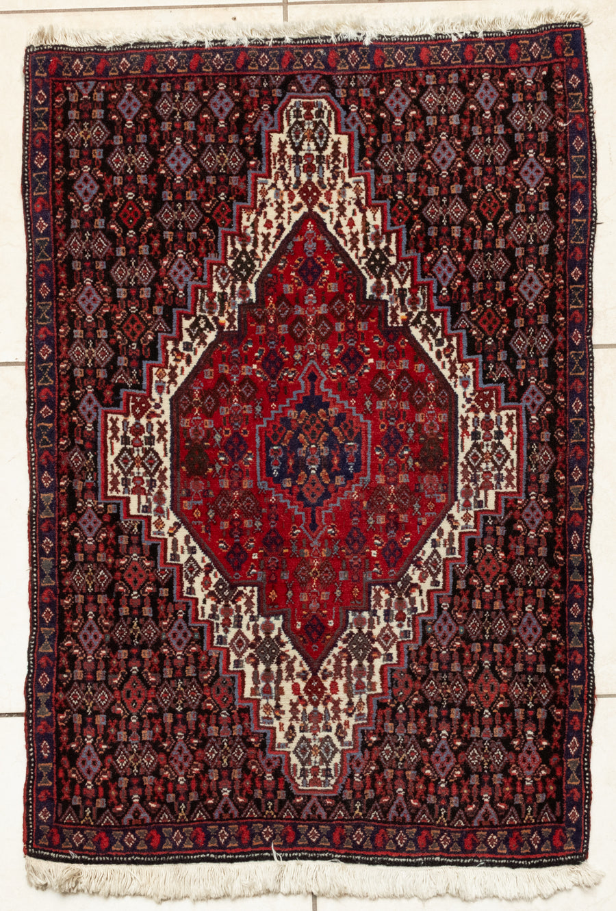 Hand-Knotted Wool Rug 3'7" x 2'5"