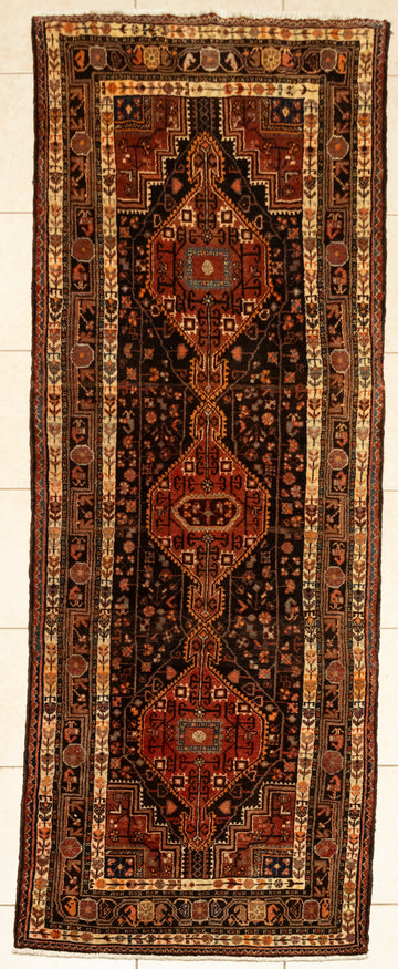 Hand-Knotted Wool Toysirkan Rug/Runner 10'1" x 3'7"