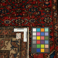 Wool Hand-Knotted Malayer Rug 6'6" x 3'5"