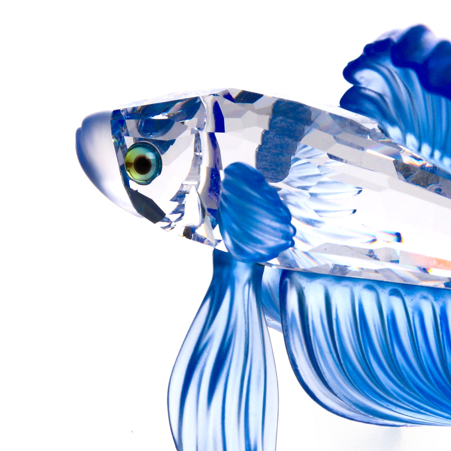 SWAROVSKI Siamese Fighting Fish Blue 236718