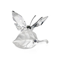 SWAROVSKI Butterfly on Leaf Figurine 182920