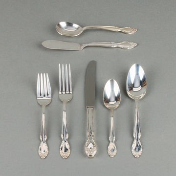 ROGERS & BRO. Silvery Mist Silverplate Flatware - 11 Place Settings +