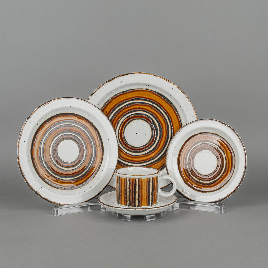 MIDWINTER Stonehedge Earth 8 Place Settings Plus Extras
