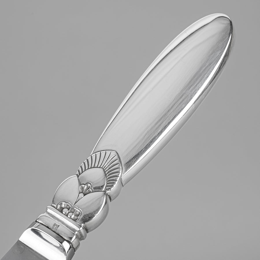 GEORG JENSEN Cactus Sterling Handle Stainless Steel Luncheon Knives Set of 10