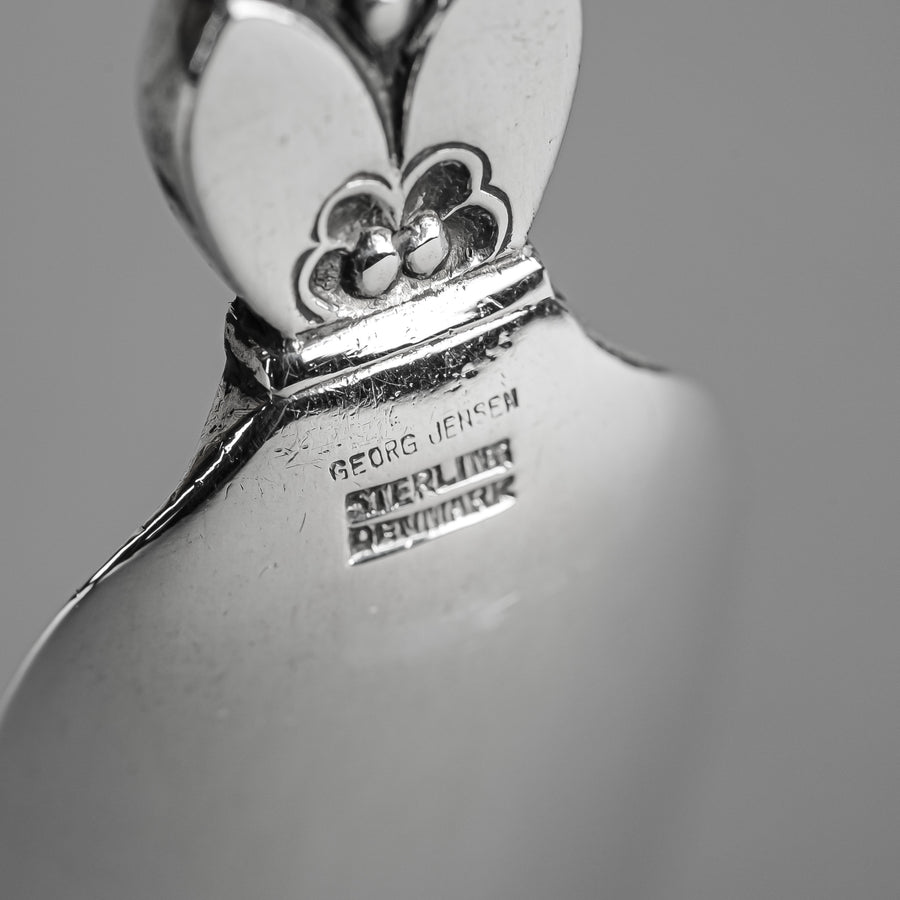 GEORG JENSEN Cactus Sterling Cheese Scoop