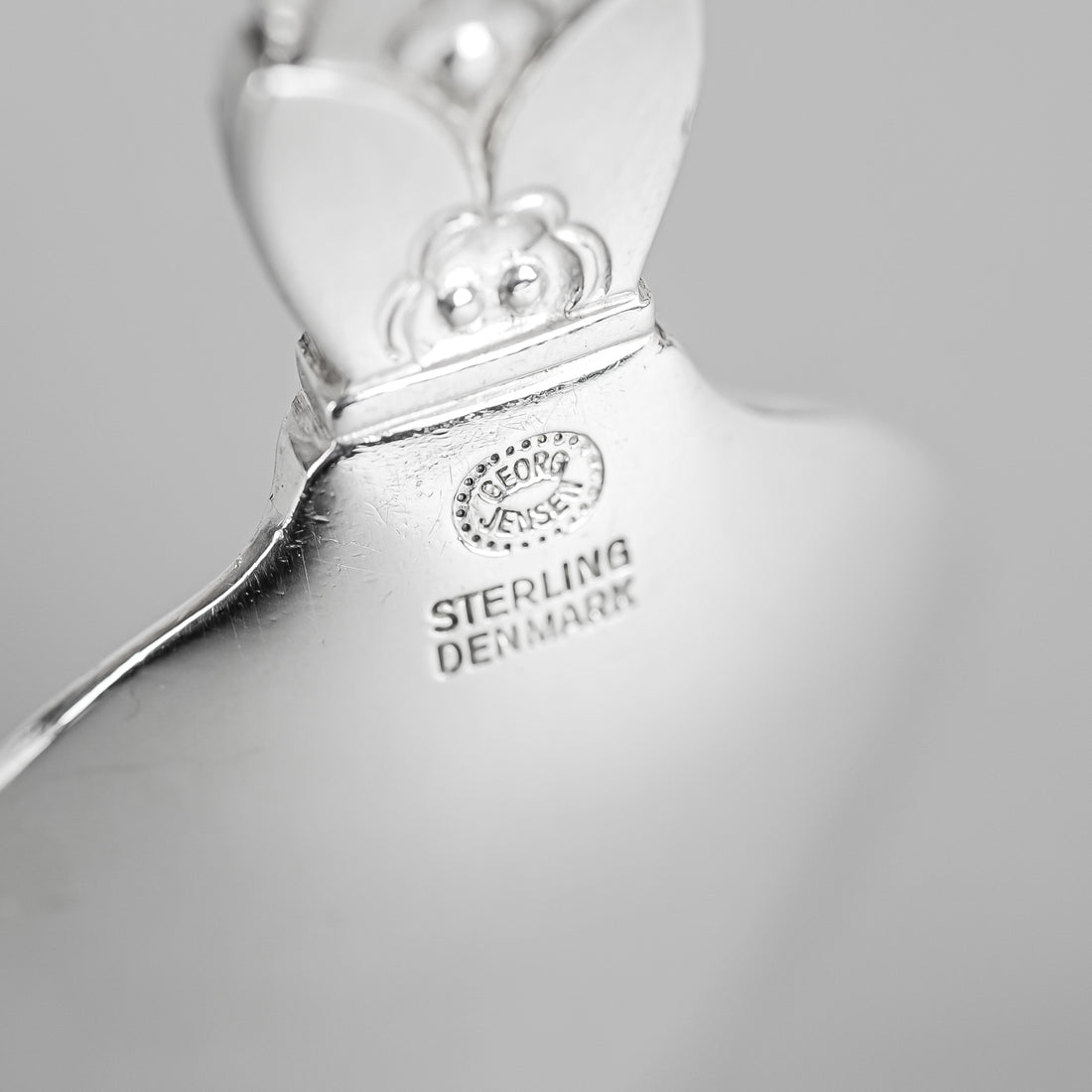 GEORG JENSEN Cactus Sterling Teaspoons Set of 8