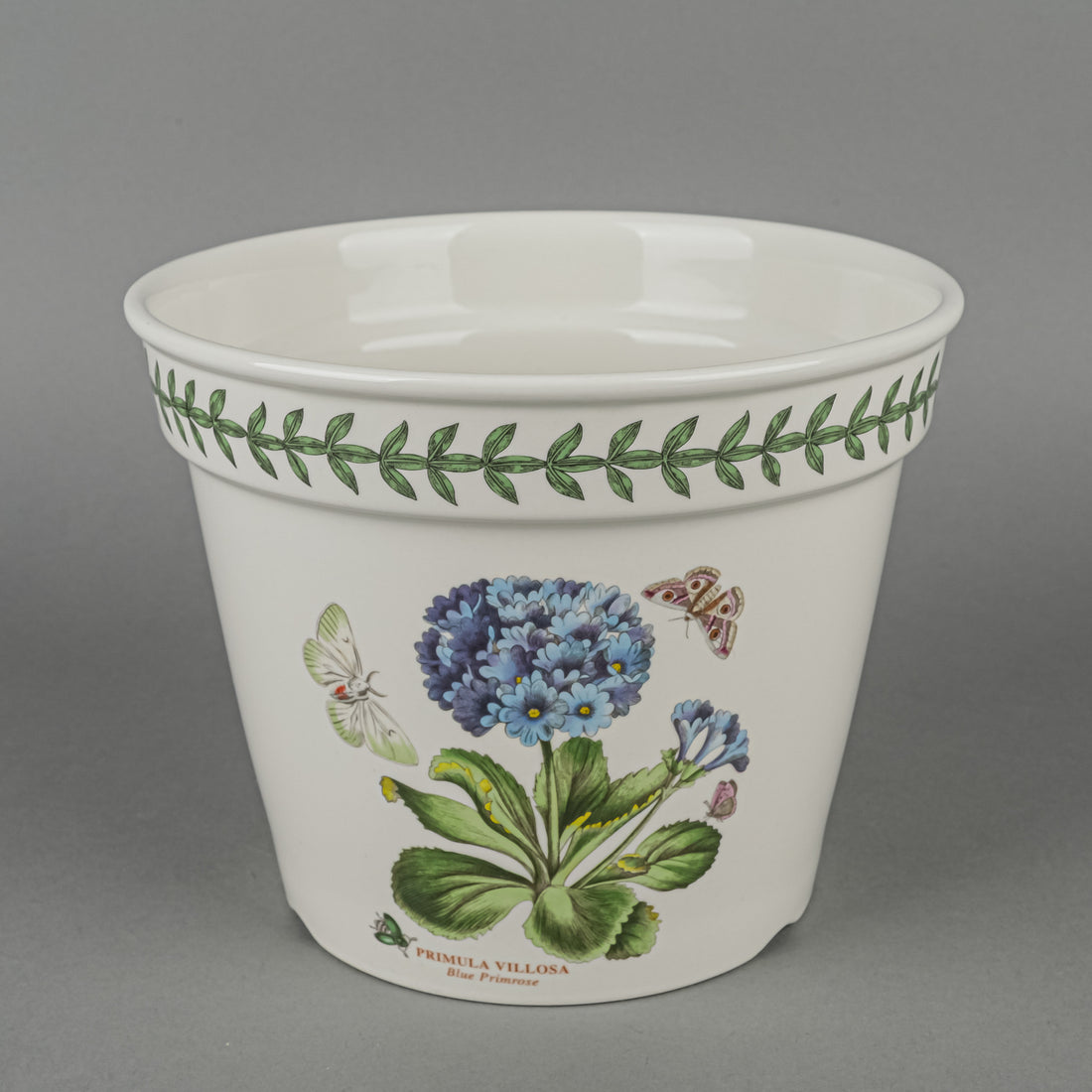 PORTMEIRION Botanic Garden Flower Pot