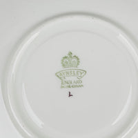 ANYSLEY Cup & Saucer C1033 JA Bailey Cabbage Rose Floral Red