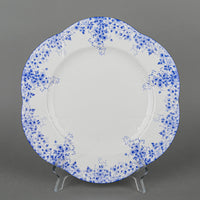 SHELLEY Dainty Blue 22 Pieces