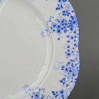 SHELLEY Dainty Blue 22 Pieces
