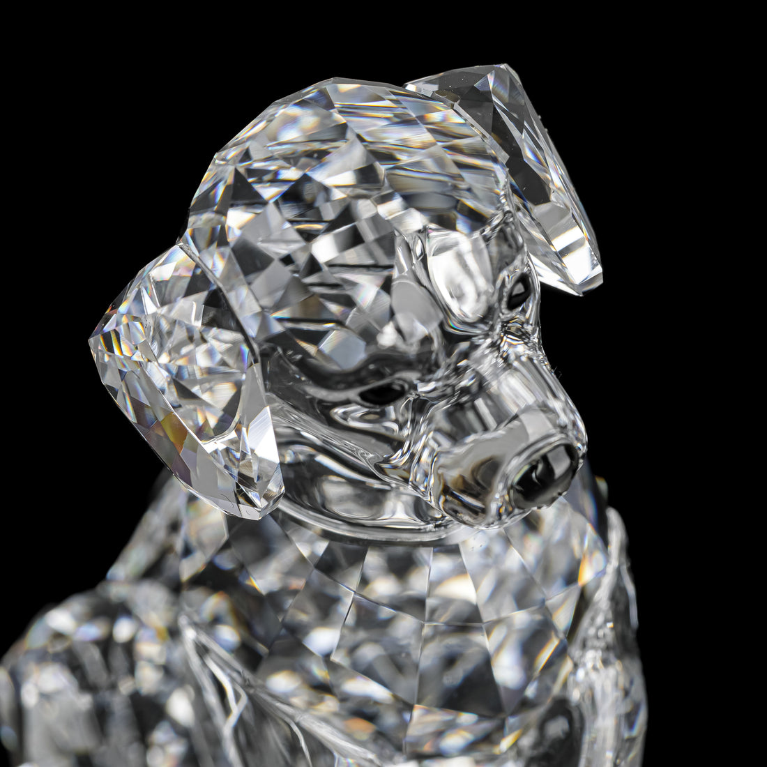 SWAROVSKI Labrador Dog Mother 5399004