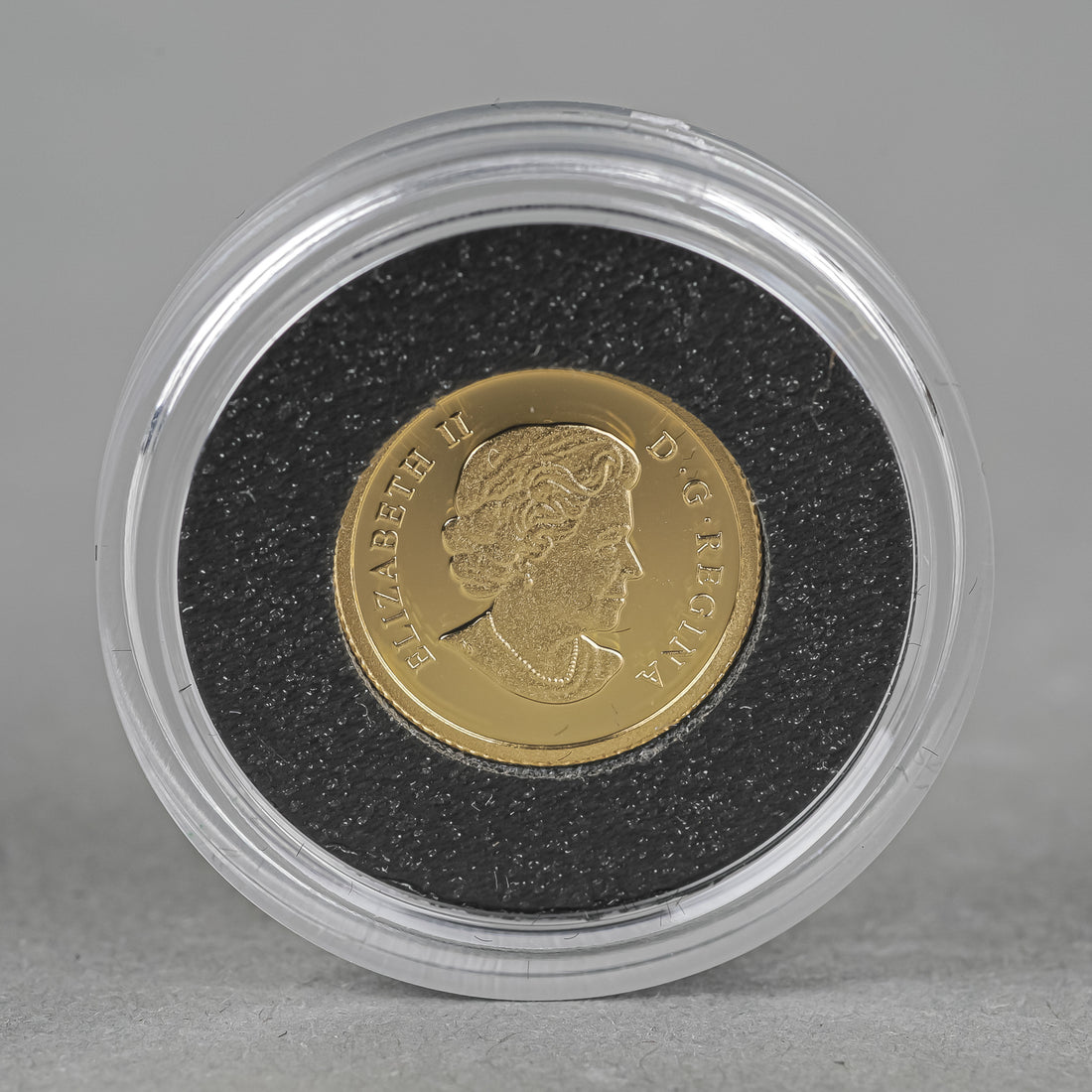 ROYAL CANADIAN MINT 2014 50 Cent Gold Coin - Sea Creatures: Seahorse